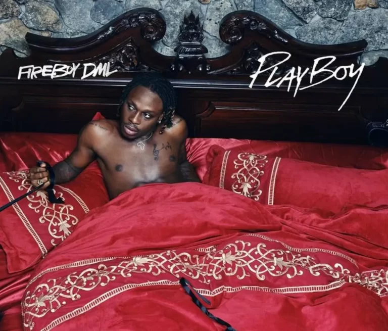 Download Fireboy DML Playboy MP3 Download