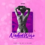 Simi Naked Wire MP3 Download