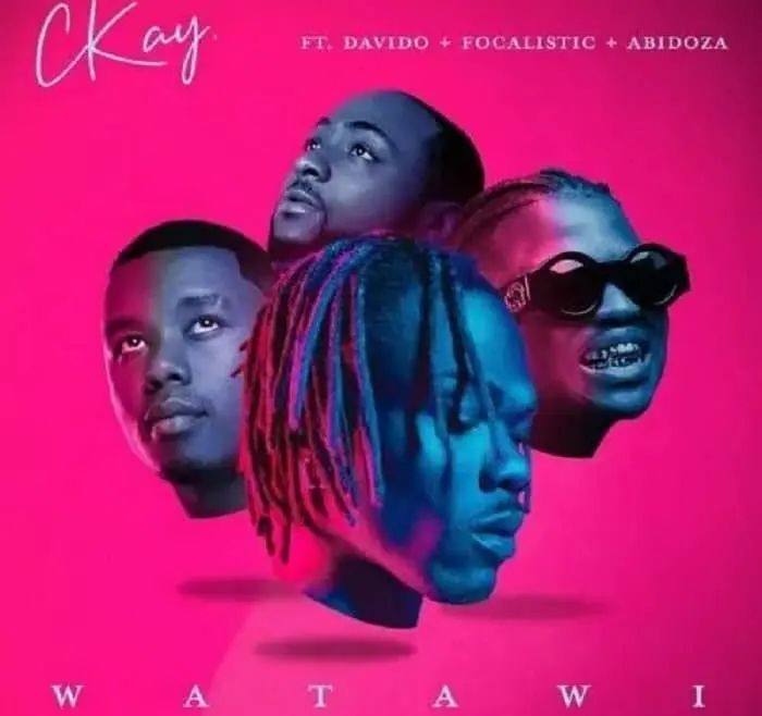 CKay WATAWI ft Davido, Focalistic & Abidoza