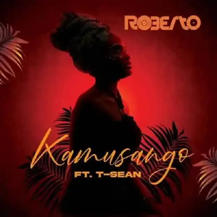 Roberto ft T-Sean Kamusango MP3 Download