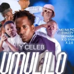 Y Celeb Umulilo ft Aki Na Popo x Swizzy x Separate x D Brain x 2.5 MP3 Download
