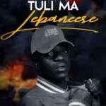 Sky Dollar Tulima Lebanese MP3 Download