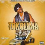 Alien Skin Tokolima MP3 Download Alien Skin thrills fans as he strikes to score his newest song, Tokolima by Alien Skin MP3 Download