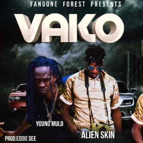 VAKO by Alien Skin MP3 Download Alien Skin thrills fans with another new song, VAKO featuring Yung Mulo. VAKO by Alien Skin MP3 Download