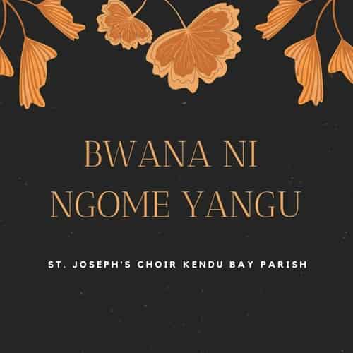 Huyu Ni Nani MP3 Download St. Joseph's Choir Kendu Bay Parish splashes the Gospel music scene with a 2021 voyage on “Huyu Ni Nani”.