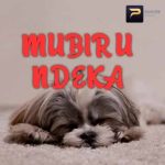 Mubiru Ndeka MP3 Download It’s MonYAY, and while we ought to find comfort, we choose to bring onboard of your fave: Mubiru Ndeka.