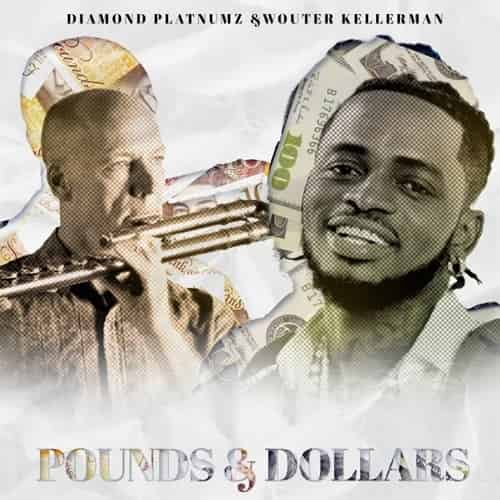 Pound and Dollar Diamond ft Wouter Kellerman MP3 Download Diamond Platnumz debuts with Wouter Kellerman erupting into the music arena.