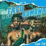Celeb City Nalilile Tata MP3 Download Celeb City breaks forth with "Nalilile Tata," a new radiant work of absolute greatness.