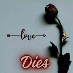 Toxic Love Dies MP3 Download Working on a phenomenal 2023 tune for the most contemporary huge song, helps Toxic Fuvu alleviate fans' pressure.