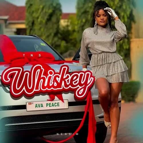 Ava Peace Whiskey MP3 Download Ava Peace brings the fore-hype of her most coruscating musical cruise of 2024 named, “Whiskey”.