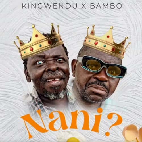 Kingwendu ft Bambo Nani MP3 Download Audio - Kingwendu debuts with Bambo erupting into the Tanzanian music arena with “Nani”.