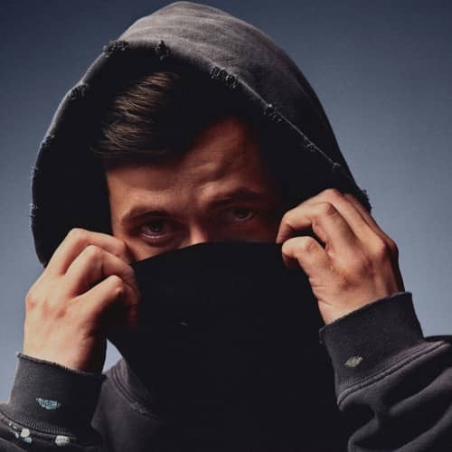 all songs of alan walker with lyrics