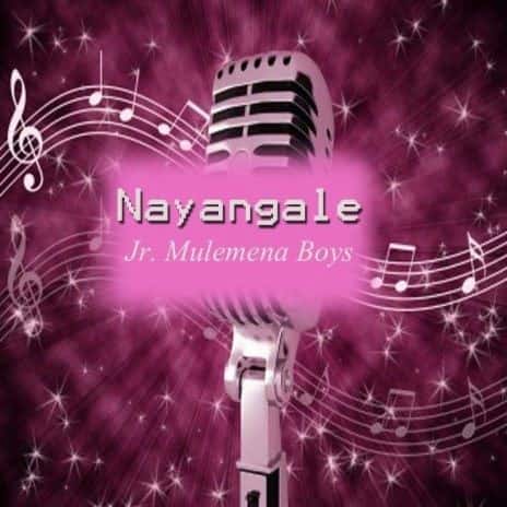 Naya Ngale MP3 Download It’s MonYAY, and while we ought to find comfort in a mug of something warm, here’s: Naya Ngale by Mulemena Boys.