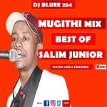 Salim Junior Mugithi Mix MP3 Download - It’s WedneSLAY, and while we ought to find comfort, here your fave: Salim Junior Mugithi Mix.