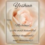 My Beloved is the Most Beautiful MP3 Download - While we ought to find comfort: My Beloved is the Most Beautiful Among Thousands and Thousands.