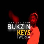 Twerka 4.0 MP3 Download - Bukzin Keys