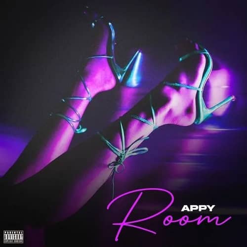 Appy - Room MP3 Download Audio and Lyrics