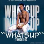 Whatsapp by Tomdee MP3 Download Audio and Lyrics