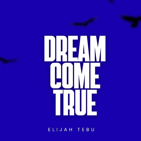 I'm Proud Of Me by Elijah Tebu MP3 Download Audio - Elijah Tebu, an AfroBeat artist released the song "I'm Proud of me" on September 24, 2025, off the Dream Come True EP.