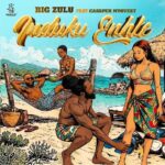 Big Zulu Induku Enhle MP3 Download