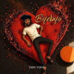 Download Byebyo by Liam Voice MP3 free, a heartfelt 2026 Afrobeat heartbreak anthem produced by Artin. Stream now and feel every emotion.