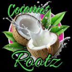Download What Can I Do to Make You Understand (My Everything) MP3 free, Coconut Rootz's trending reggae love song of 2026. Stream and download now.