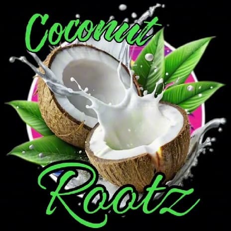 Download What Can I Do to Make You Understand (My Everything) MP3 free, Coconut Rootz's trending reggae love song of 2026. Stream and download now.
