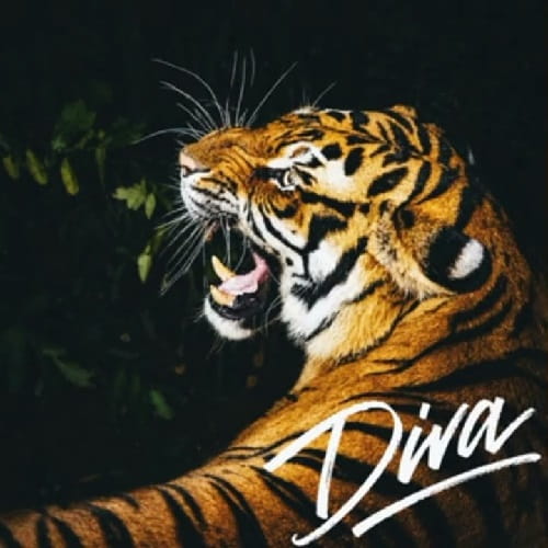 Burak Bulut - Diva MP3 indir